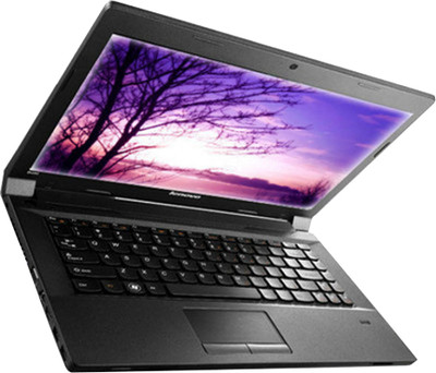 Lenovo B590/59-409293 Notebook (3rd Gen Ci5/ 4GB/ 500GB/ Free DOS/ 1GB Graph) (59-409293)