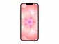 Apple iPhone 17e Price in India